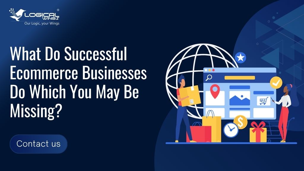 What Do Successful Ecommerce Businesses Do Which You May Be Missing?